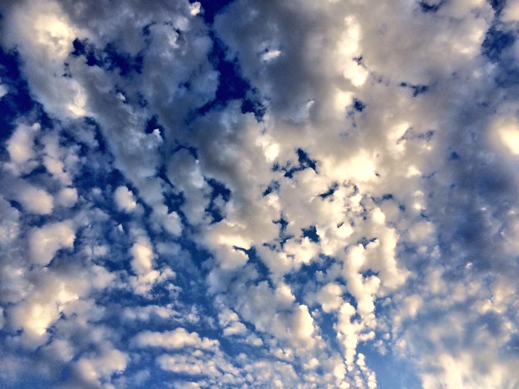 CATinPhoenix's tweet image. #setbreak #cloudporn