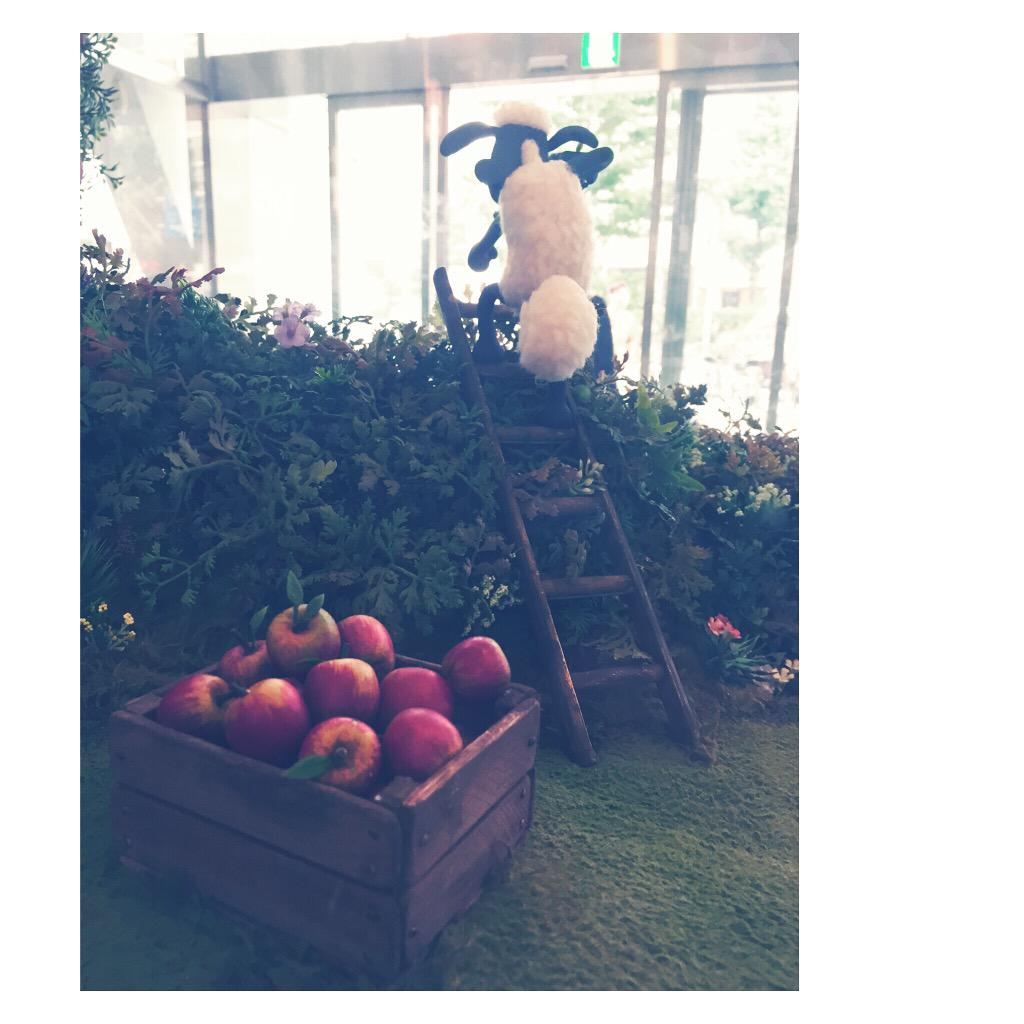 まゆみたべこ ひつじのショーン バックトゥザホーム 見てきたよ かわいくて勇敢なショーンに涙が止まらなかった ビッツァーもシャーリーもティミーもツインズもヘーゼルもナッツも牧場主もみんなみんなともだちになりたい Http T Co Chdlmzp9xz