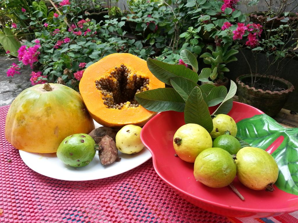 antoniorj586's tweet photo. want this for your breakfast? http://t.co/yvnvuZdC1u