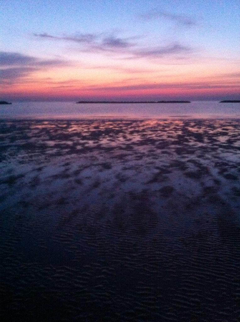 AlesiniGiulia's tweet photo. Serata perfetta 🌙☀️ #NotteRosa #alba http://t.co/bRsr4hRHim