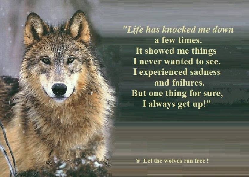 Gentle_58's tweet photo. @AkuatishiMaikan @PipinaMza @demonangel81 @mikakiwanini @DianeRedelinghu @evelyn_m_k @Quotes_Wolves
#IStand4wolves http://t.co/0rfxJry47t