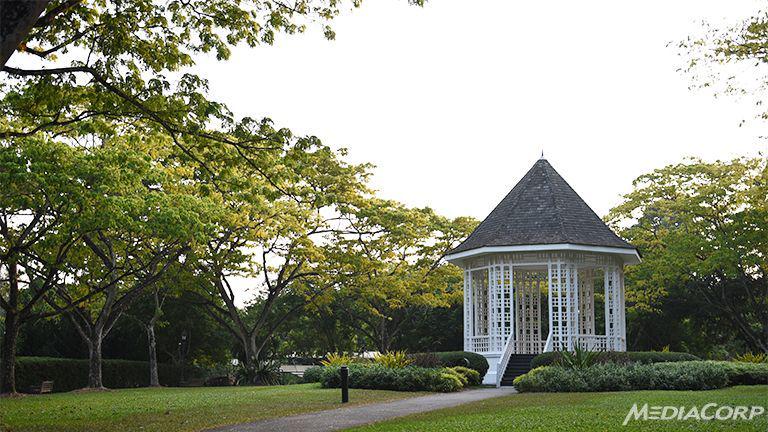 ChannelNewsAsia's tweet photo. BREAKING: 156-year-old Singapore Botanic Gardens just been declared UNESCO World Heritage Site http://t.co/fVL1TGUXrW http://t.co/OloWmqrYZw
