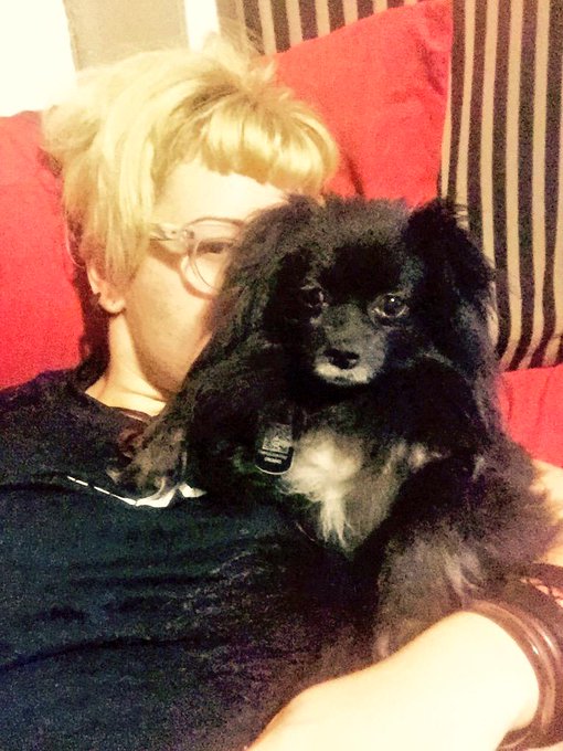 #hangover day #pets #spiritanimal #lazy http://t.co/T1dpJ7iCY1<a href="/tag/hangover"class="tags">#hangover</a><a href="/tag/pets"class="tags">#pets</a><a href="/tag/spiritanimal"class="tags">#spiritanimal</a><a href="/tag/lazy"class="tags">#lazy</a>