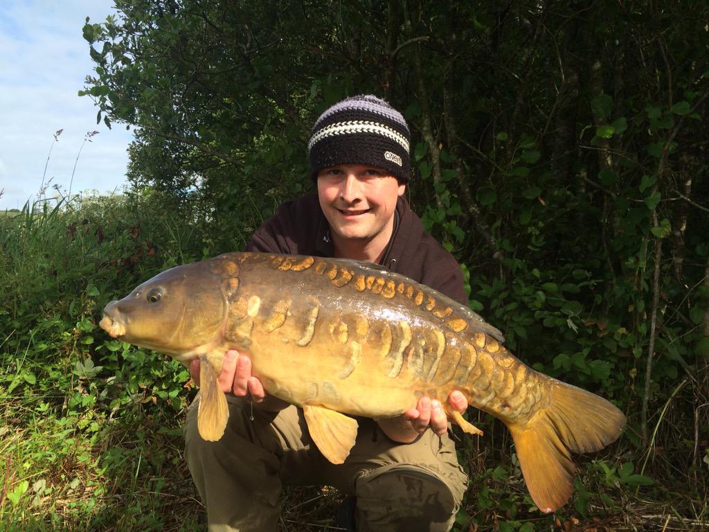 paddywack2002's tweet photo. @bobbyoates @stevegliddon @cowboyChris21 can't beat these scaley beauties #lowertamar#raremirror http://t.co/UX5BAQdLpj