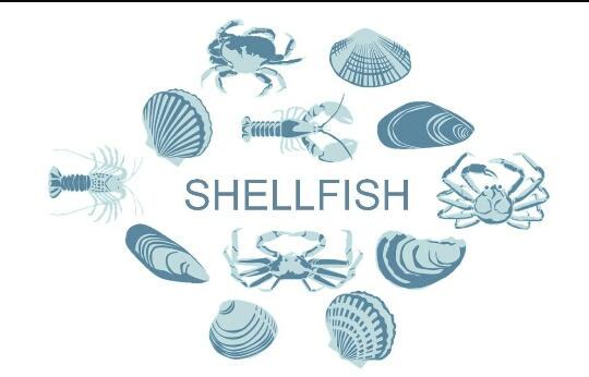 Beautiful morning.. Cracking storm last night!! #freshday #freshfish #freshshellfish #Eatmorefish #shoplocal