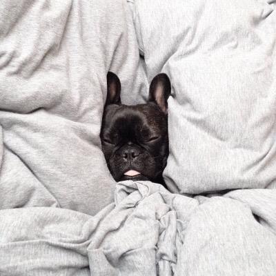 aryestrada3's tweet photo. #BuenasMadrugadas para los que no podemos dormir #SabadoDeGanarSeguidores http://t.co/XcNFXE1qKN