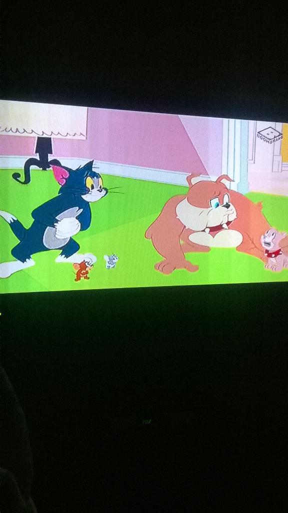 Shmurda_Mummy's tweet image. Spike: it&apos;s alright Mi boy😊Spike would do anything for his little one..Fathers vang tips!
#TomAndJerryVibes