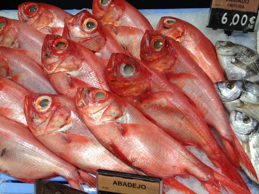 Ventasal's tweet image. #fishfresh @RaycoFdez @grblanco @carloslinares70 @chavocanarias @S_Viot @Jacobo_Q @varoledantes #localfish