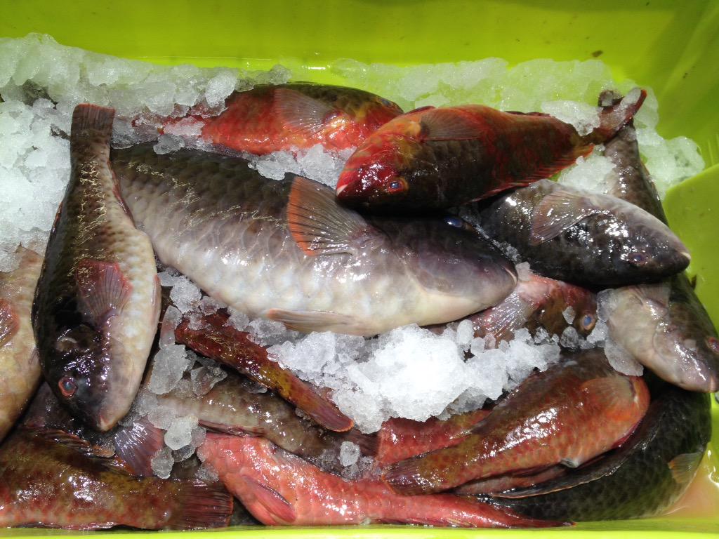 Ventasal's tweet image. #fishfresh @RaycoFdez @grblanco @carloslinares70 @chavocanarias @S_Viot @Jacobo_Q @varoledantes #localfish