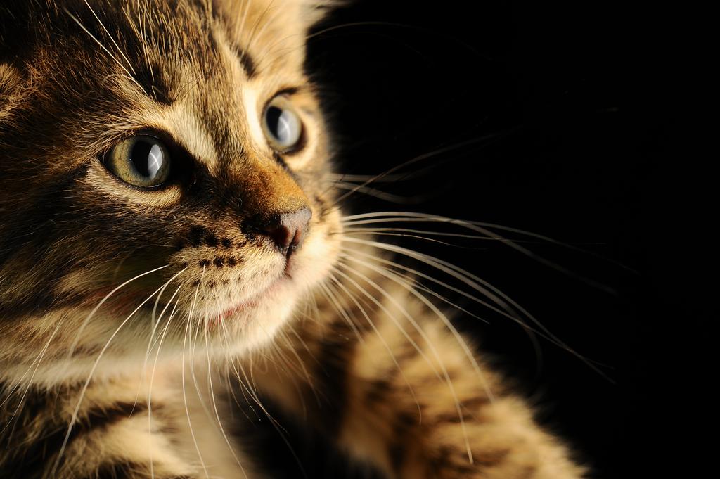 hackerbeach03's tweet image. 