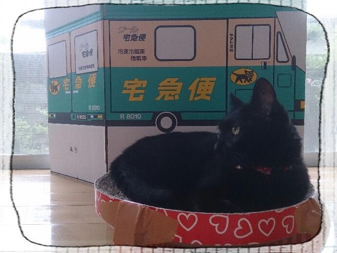 クロネコヤマトの段ボール ねこ 最強説 画像集 Togetter クロネコヤマトの段ボール ねこ 最強説 画像集 Togetter