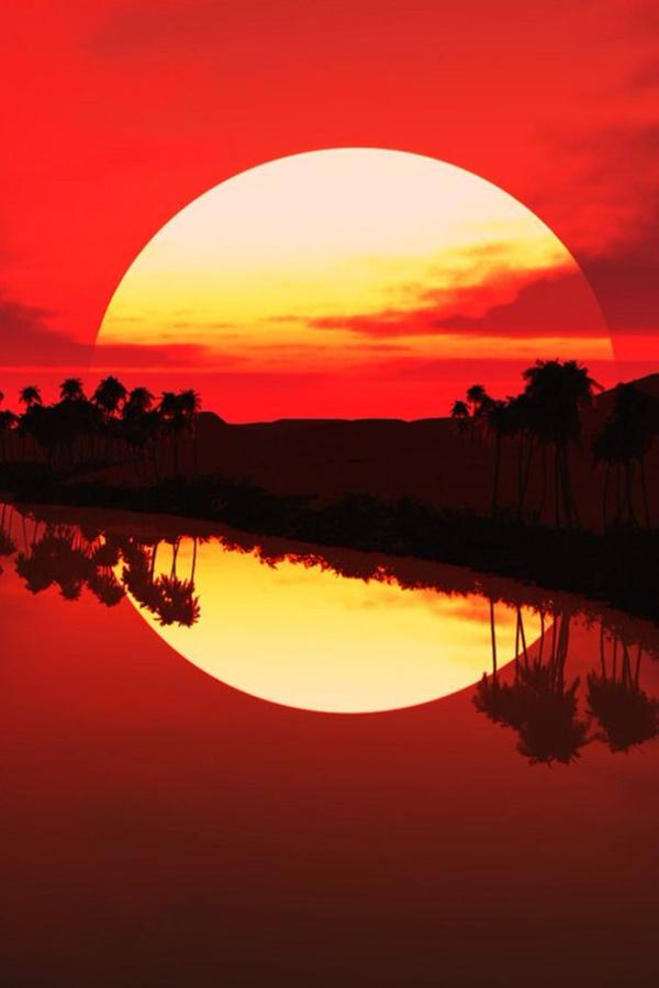 _Paisajes_'s tweet photo. Puesta de sol en un oasis. http://t.co/Ed6DR47hmQ