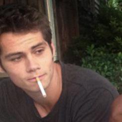 stilesrpgcodr's tweet image. VENEZ RP 
-stiles est dans un parc loin de la ville, adossé a un arbre accompagné de son chien-