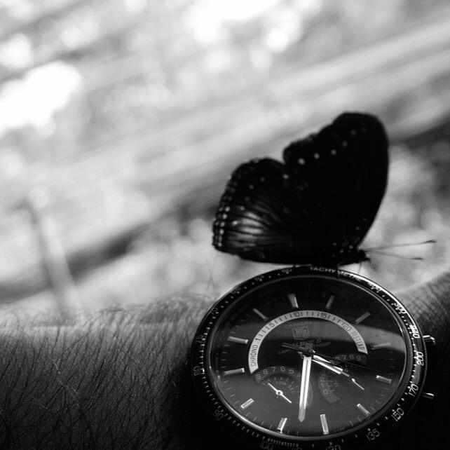 Instagram: vizorkaneda