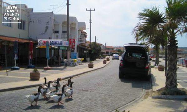 غاية في الجمال ، وتشتهر بكنيسة كالما والتى انشات في القرن الثامن الميلادي

#تشفتلك_كوي