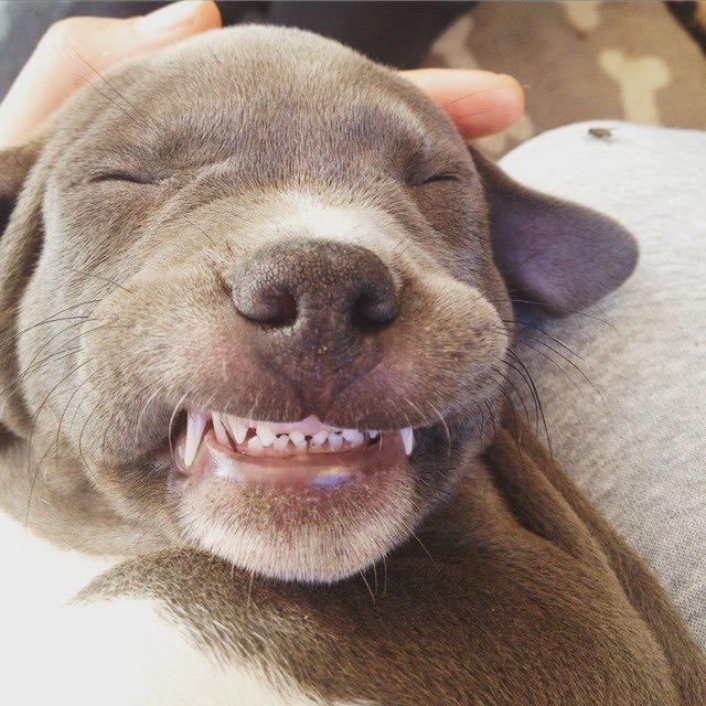 Say Cheese!
It's Cheese Sunday <a href="/TankertonArms/">The Tankerton Arms</a> in Tankerton tomorrow (Sunday 5th July)