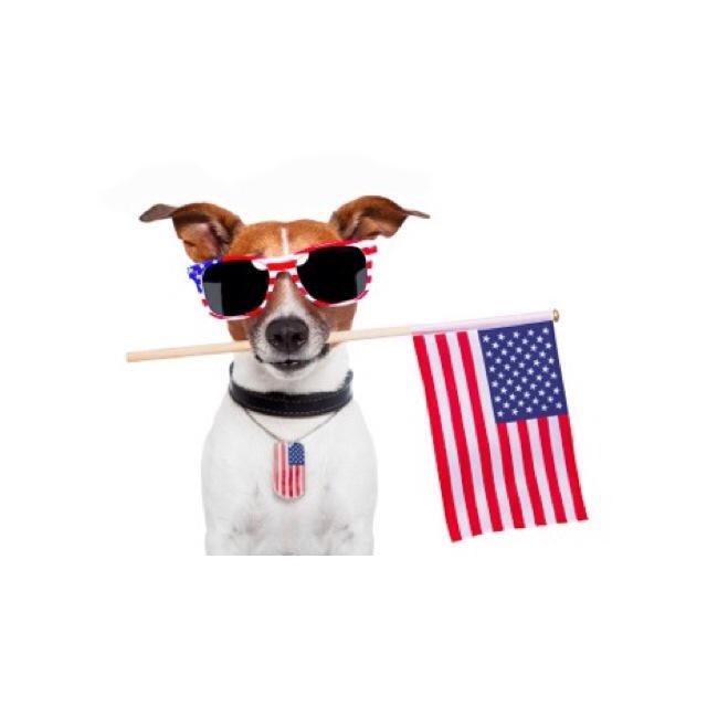 ProtectTXDogs's tweet image. Happy #4thOfJuly!