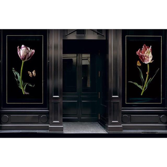 ParisInstagram's tweet photo. PalaceCostes présente Bas Meeuws dans les vitrines de l'Hôtel Costes.
#basMeeuws #palaceco… http://t.co/n00h8NzhiT http://t.co/OK1NExJC9n