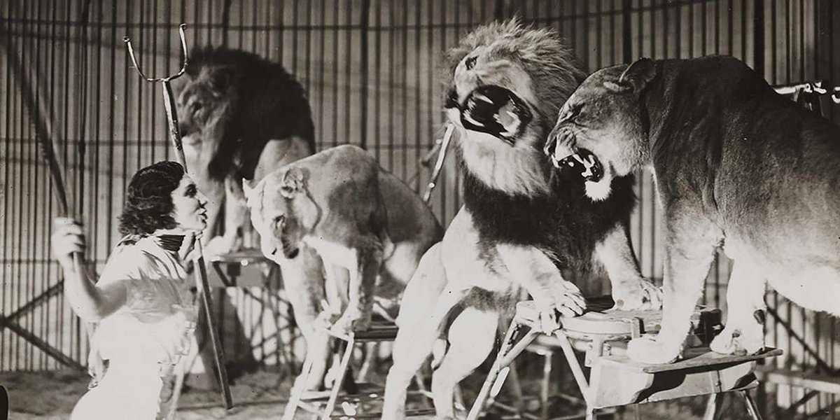 HELLO #Australia!!!  5 TOP Australian #bizwomen to follow: buff.ly/1H44VFc