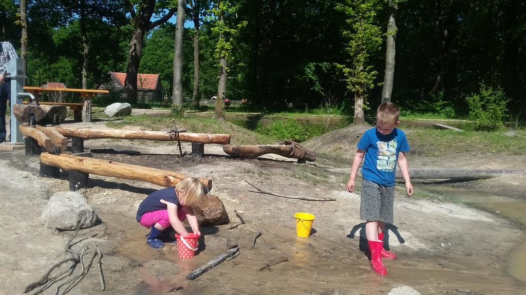 Een 'coole' plek voor kinderen om te spelen: natuurspeelplaats in het Koepelbos bij Oldeberkoop <a href="/staatsbosbeheer/">Staatsbosbeheer</a>