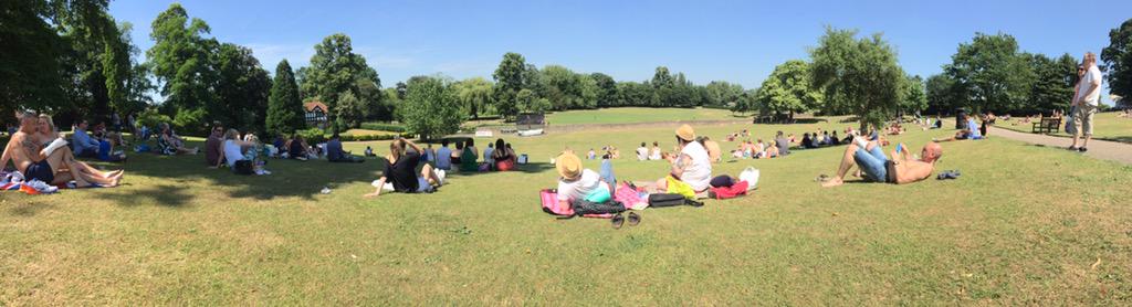 Anna Bird tweet media