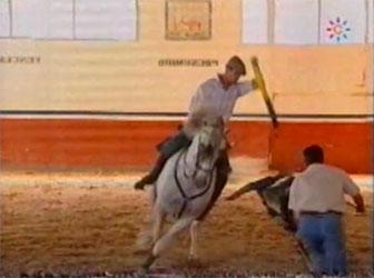 pablolopezriobo's tweet photo. Antonio Domecq, el toreo a Caballo
http://t.co/04UhTNPylW
@MariaMendozaro http://t.co/cNeO4uHGt5