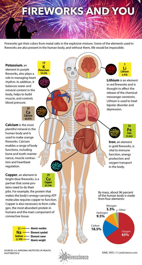 How Elements in Fireworks Make the Human Body Work (Infographic) oak.ctx.ly/r/3acb0