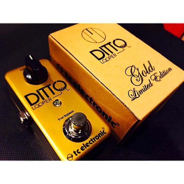 ギター tc electronic DITTO LOOPER Gold Limited ギター tc