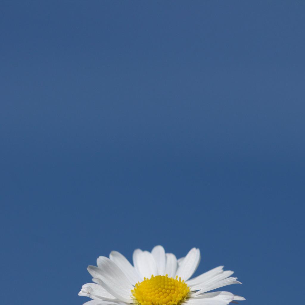 GG31568's tweet photo. @dailyp #sunmersun because it really was there โบ๏ธ http://t.co/FMKLf0IFzH