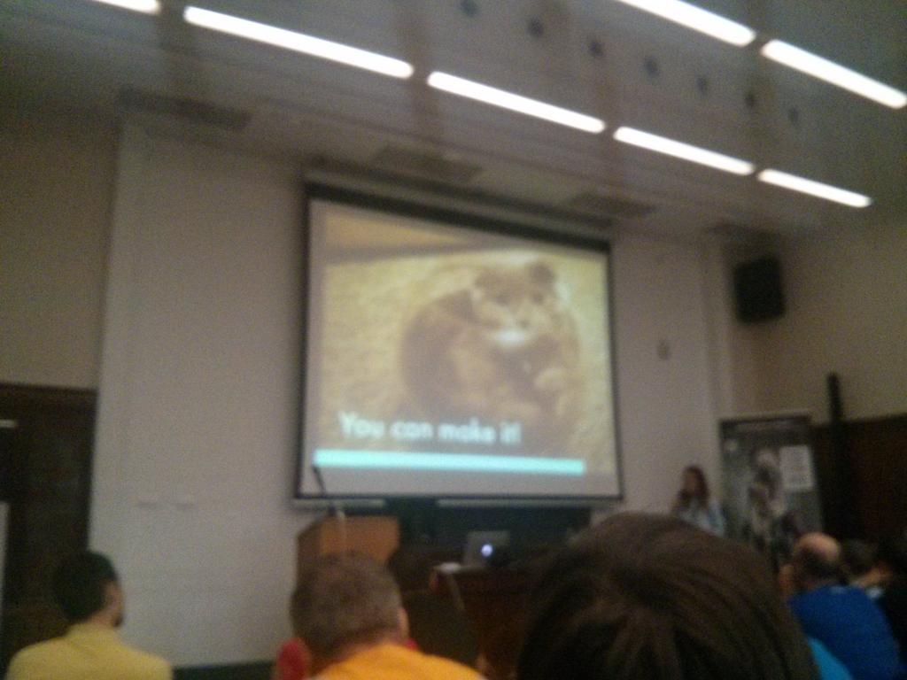 lkincel's tweet photo. Są i koty! #confitura #ux4devs @aganaplocha http://t.co/ws02KnSTNG