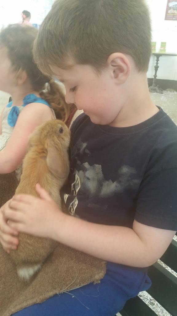 bernievfinn's tweet photo. @KiaOraMiniFarm1 young love http://t.co/4CfMbKx1MB