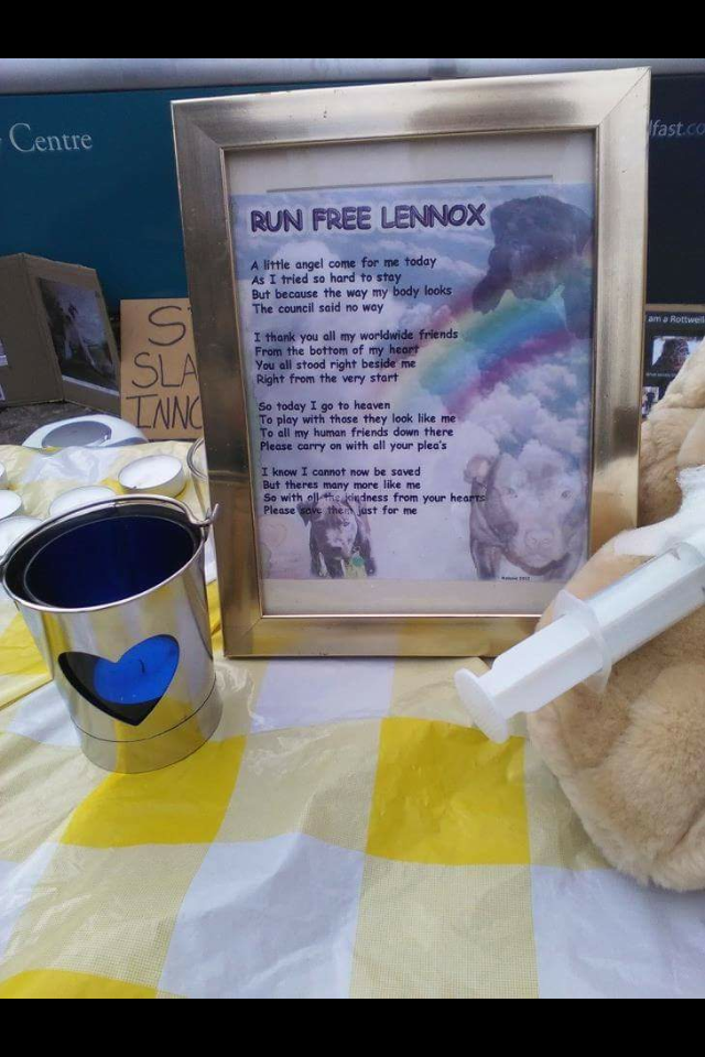 The Lennox Campaign tweet media