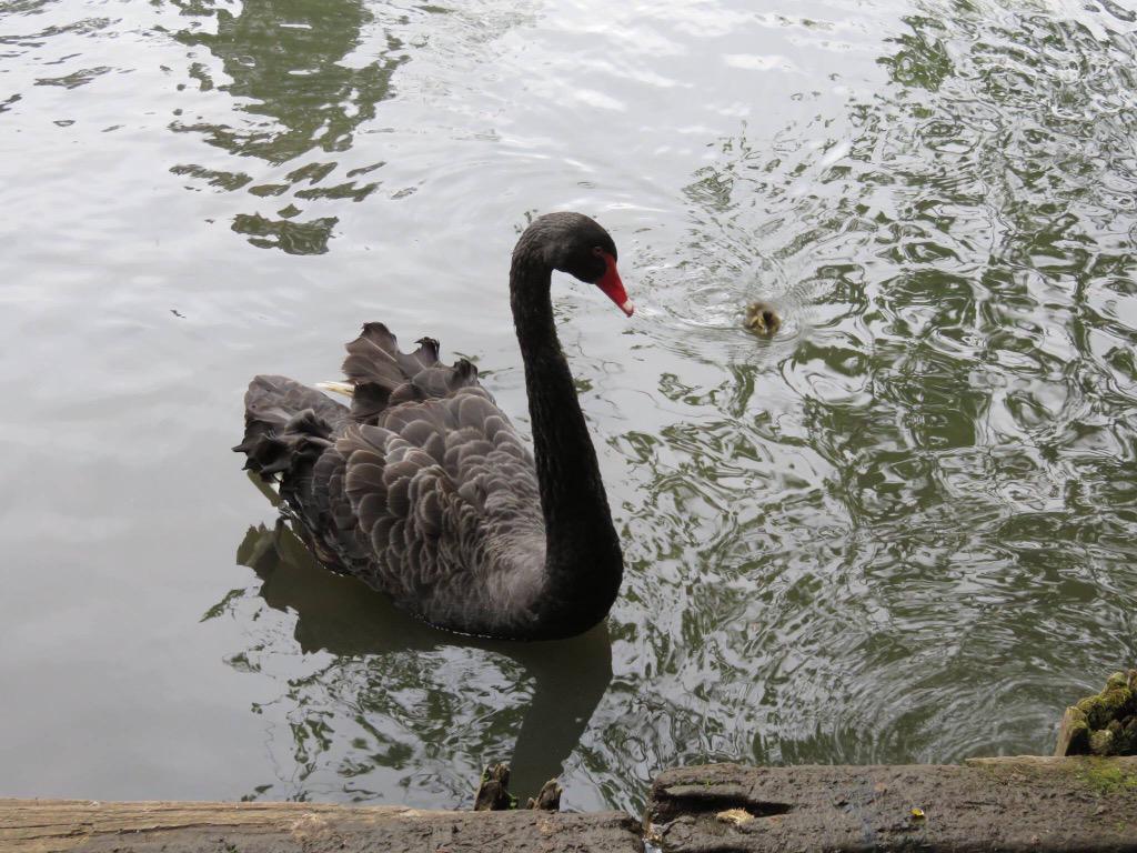 bionicnicky75's tweet image. Nicky Newnham