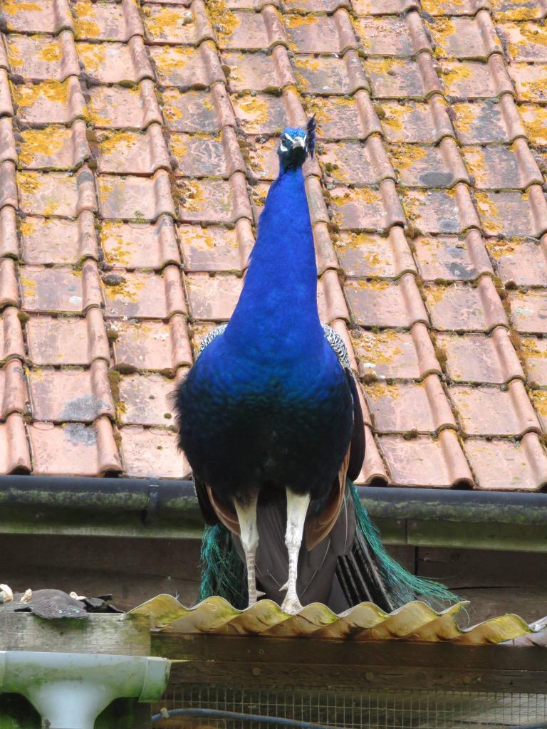 bionicnicky75's tweet image. Nicky Newnham