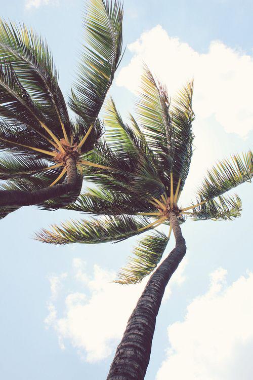 happy 4th! here's to a beautiful summer!