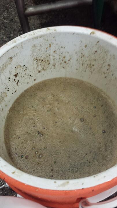 Amaranth Brewing Co. tweet media