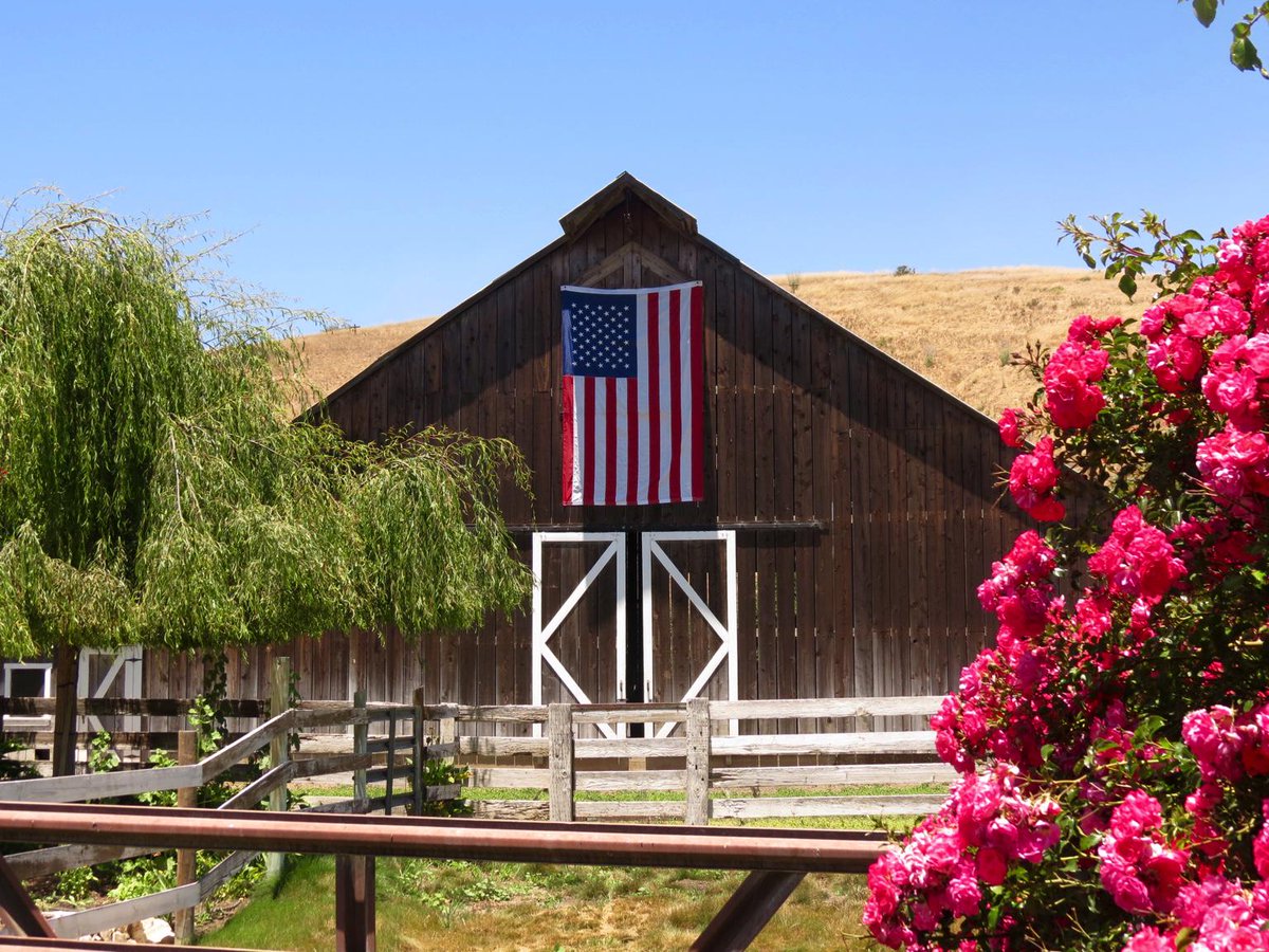 Celebrate and appreciate. Happy 4th!