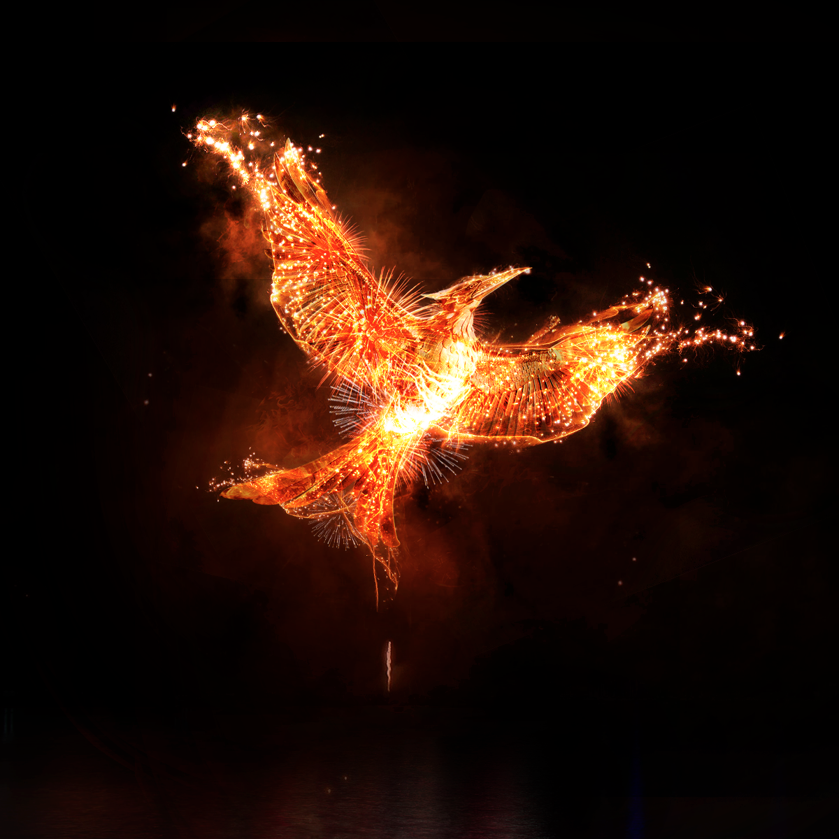 TheHungerGames's tweet photo. Happy 4th of July from @TheHungerGames! http://t.co/EqxnEJLSX4