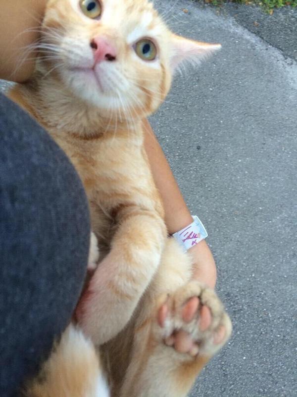 WarmingCuteness's tweet image. who said romance was dead?