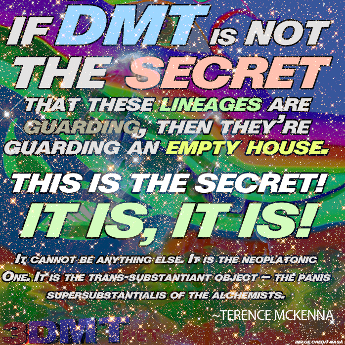 3DMT tweet media