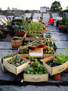 Mooi RT <a href="/dakwaarde/">Coöperatie Dakwaarde</a>: Dubbel #duurzaam: #stadslandbouw op daken dmv recycling... <a href="/BelindaVerhagen/">Belinda Verhagen</a> <a href="/Groen010/">Groen Rotterdam e.o.</a> <a href="/OSAlmere/">Stadslandbouw Almere</a>