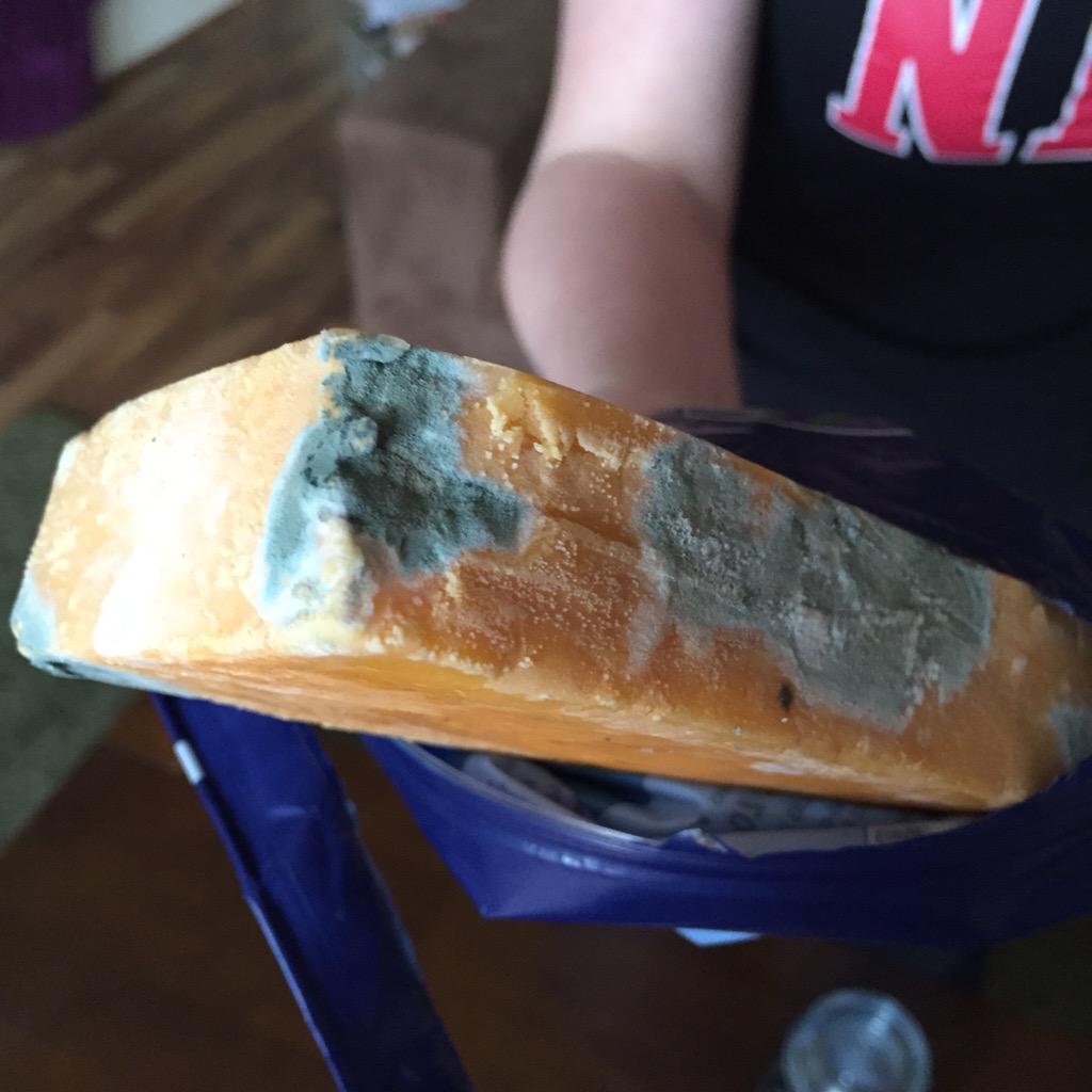 ThomLedingham's tweet image. Just bought this cheddar 30mins ago from @asda in torylglen! Now having to go back and miss the tennis! #disgusting