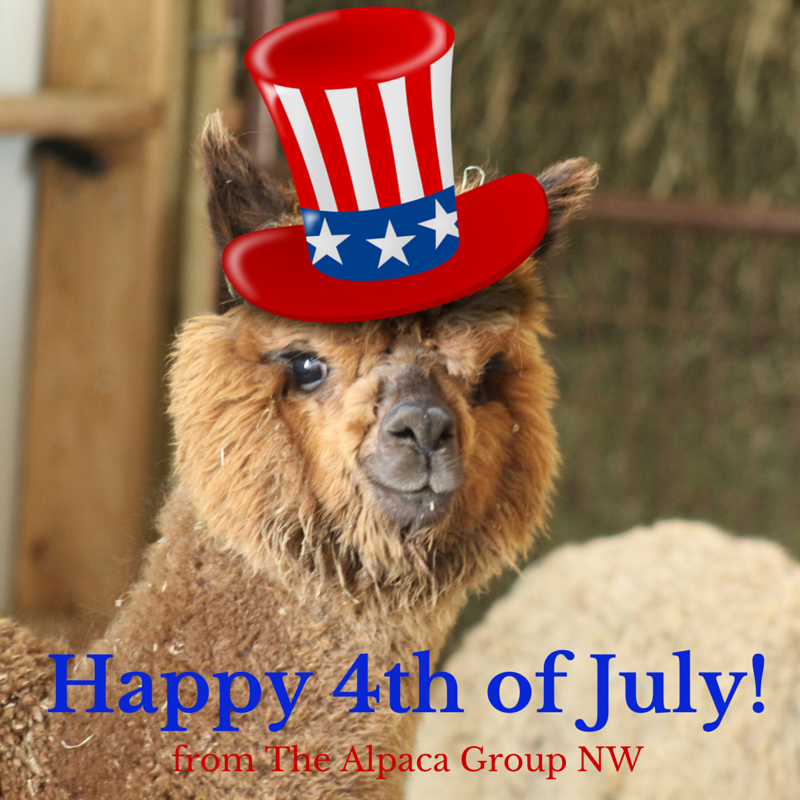 Alpaca Group NW tweet media