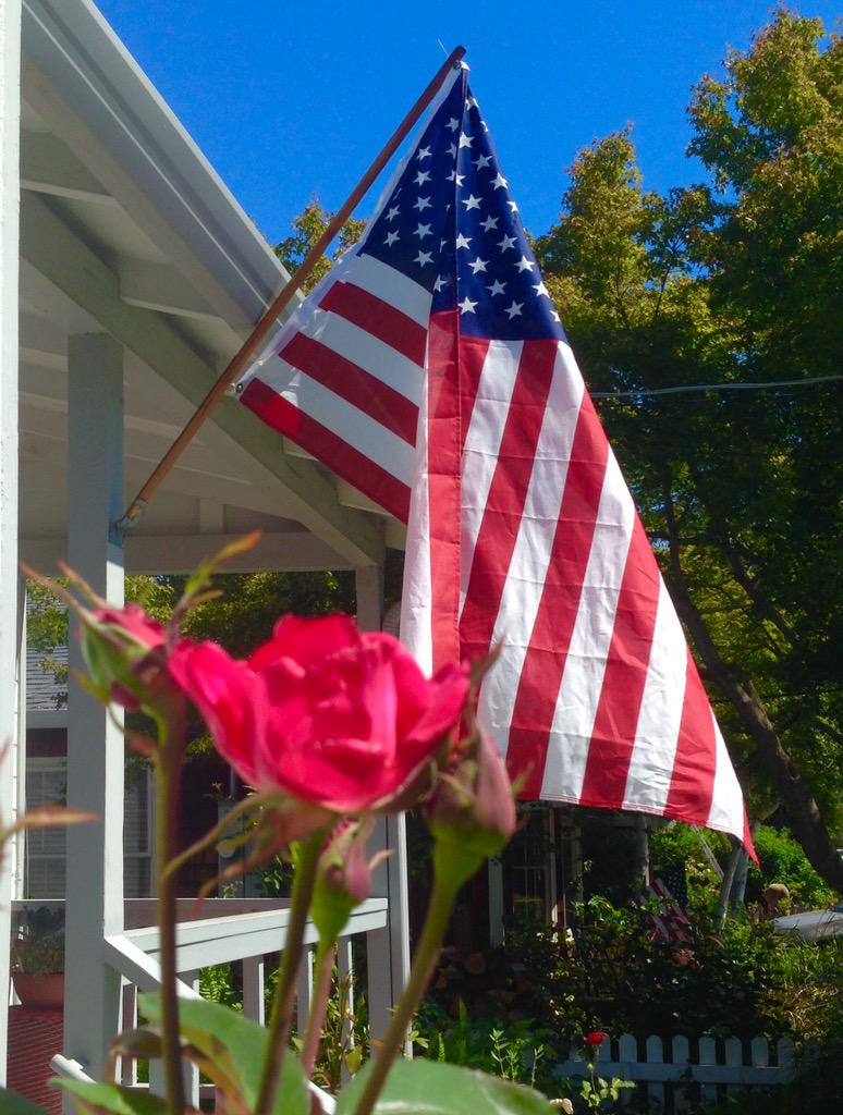 Happy birthday America, and to all who inhabit her shores (except Donald Trump) 