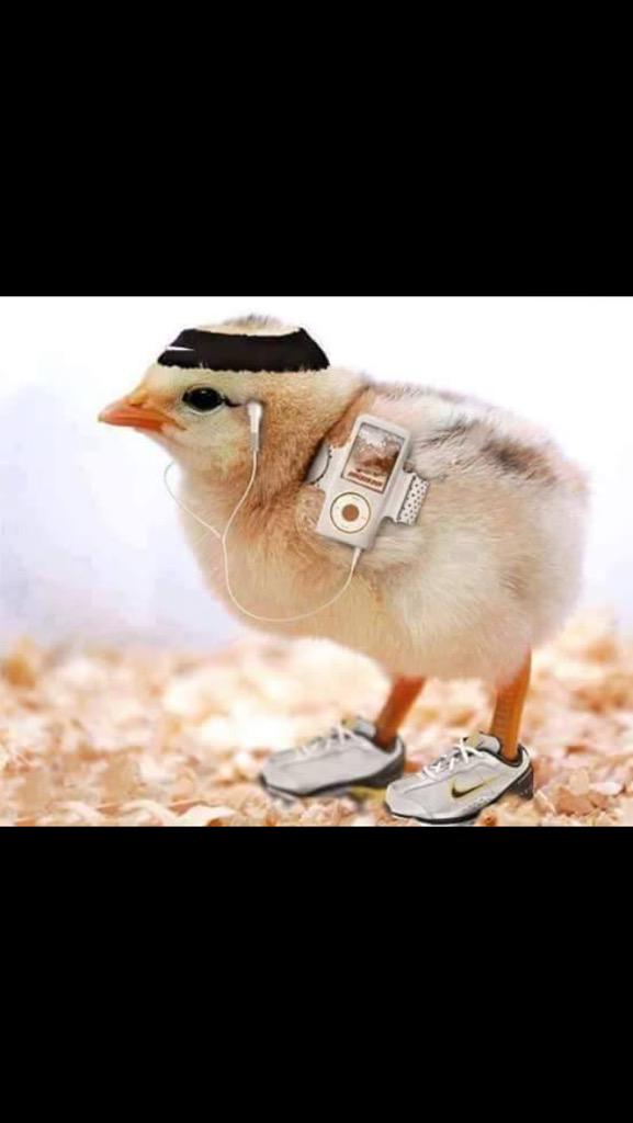 Habibate3's tweet photo. http://t.co/Z1Bk6F2bWE