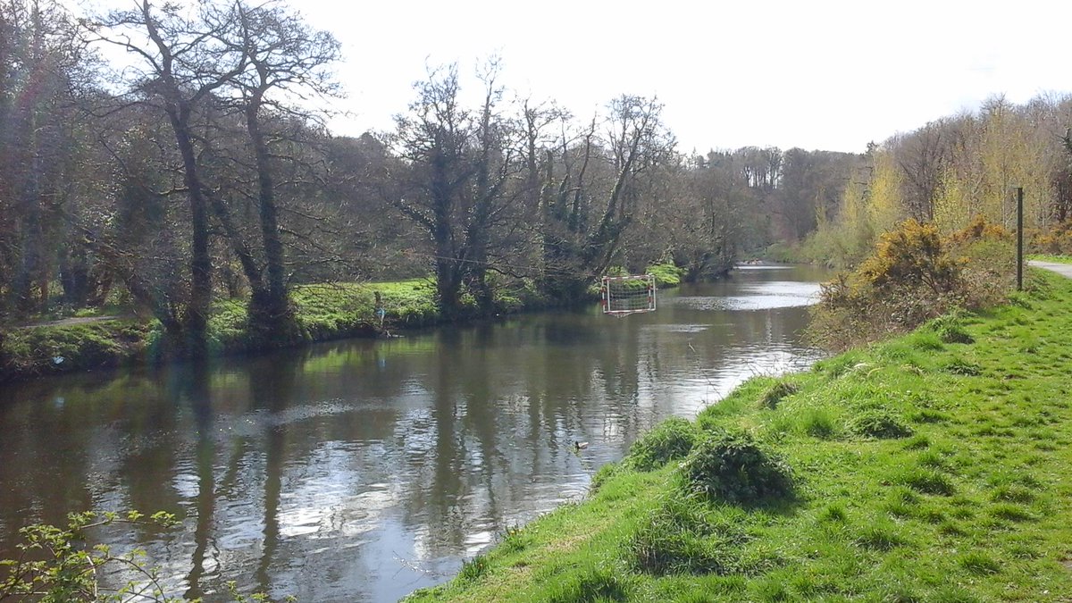 estelmoisson's tweet photo. Lagan Valley #irishimages150704 http://t.co/eEGamAgXJx
