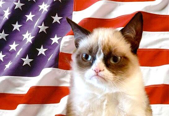 RealGrumpyCat's tweet photo. http://t.co/ctK6ewYr3v