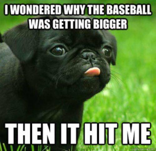 castle_keegan's tweet photo. It had a pug in it http://t.co/zf3rciUPk9