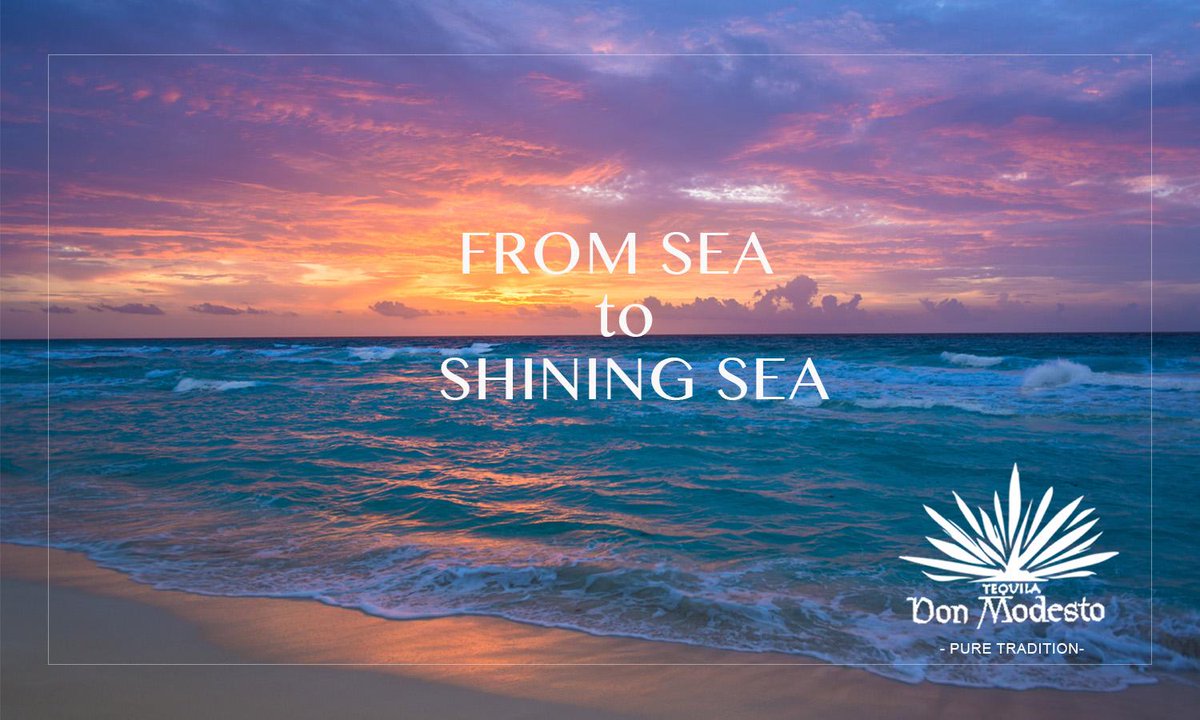 DonModesto's tweet image. Happy 4th of July! #puretradition #4thJulyCelebrations #DonModestoTequila