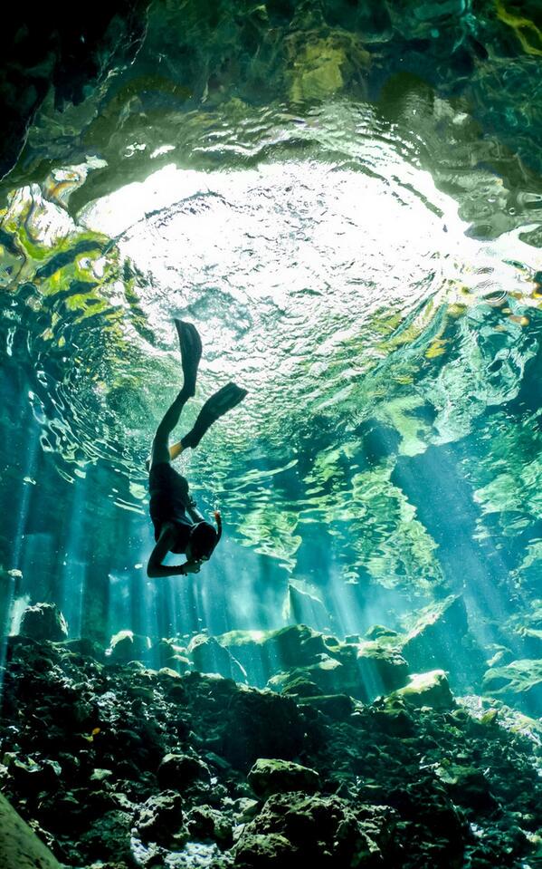 _Paisajes_'s tweet photo. Buceo, Peninsula de Yucatan, Mexico. http://t.co/H1SZVkORJE